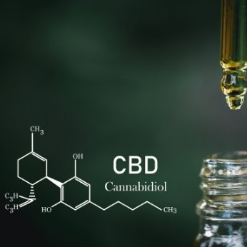 CBD and Alcoholism: A Positive Correlation? - Exact Nature Botanicals LLC