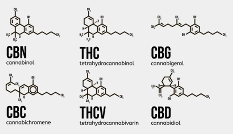 CBD and Cannabinoids Explained - Exact Nature Botanicals LLC