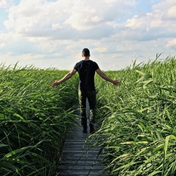 CBD: The Natural Option for Substance Abuse Recovery - Exact Nature Botanicals LLC