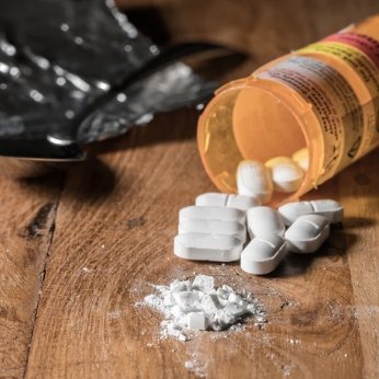 Enlisting CBD in the Fight Against Opioids - Exact Nature Botanicals LLC