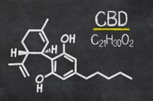 Is all CBD Created Equal? - Exact Nature Botanicals LLC