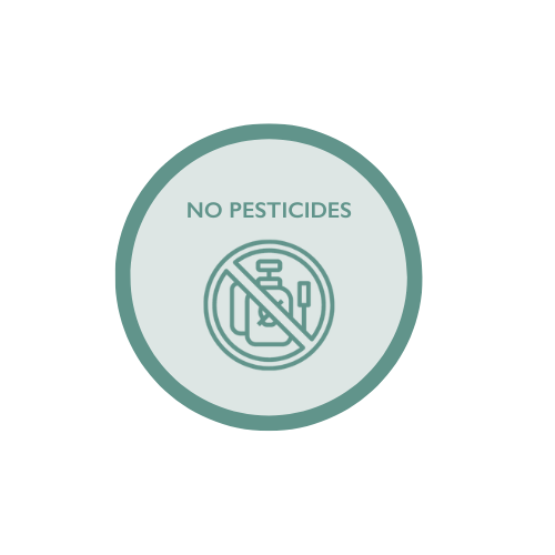 No Pesticides